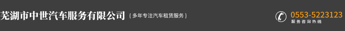 蕪湖市中世汽車服務有限公司